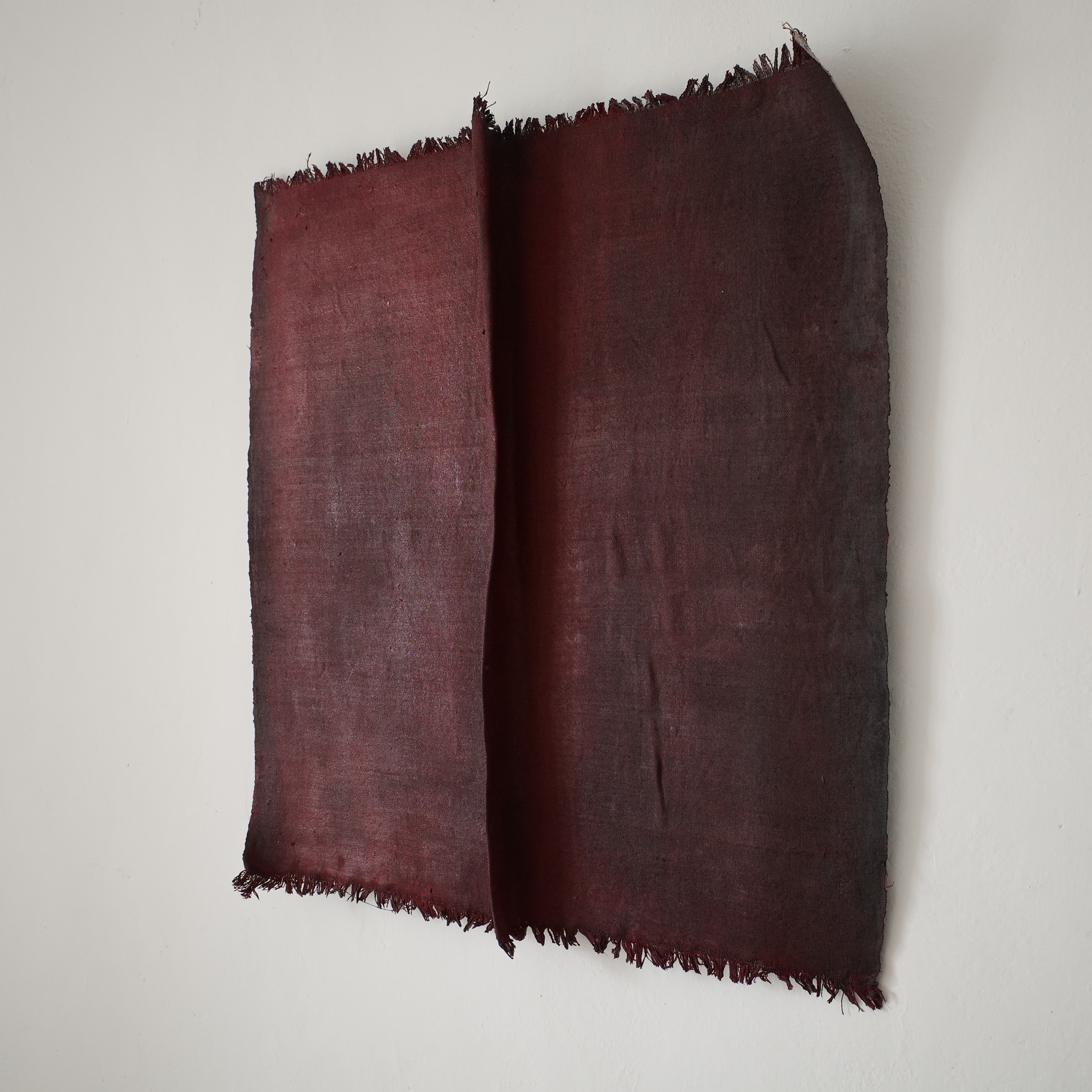 RESTITUZIONI N.1_RED