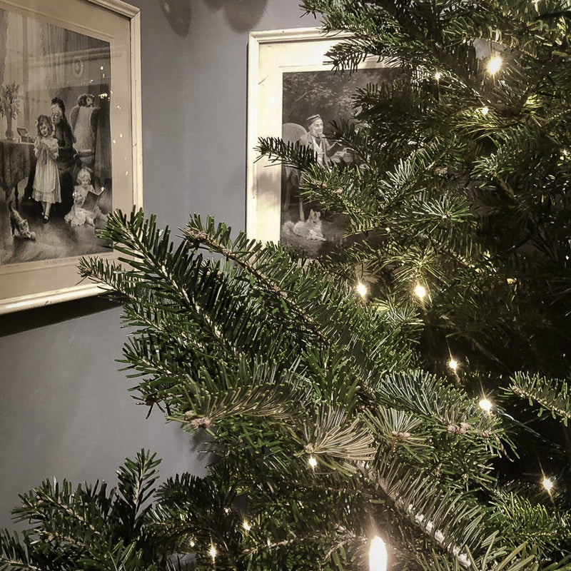 PETITE LALA', CHRISTMAS